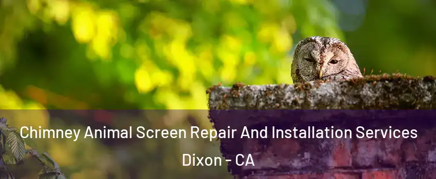  Chimney Animal Screen Repair And Installation Services Dixon - CA