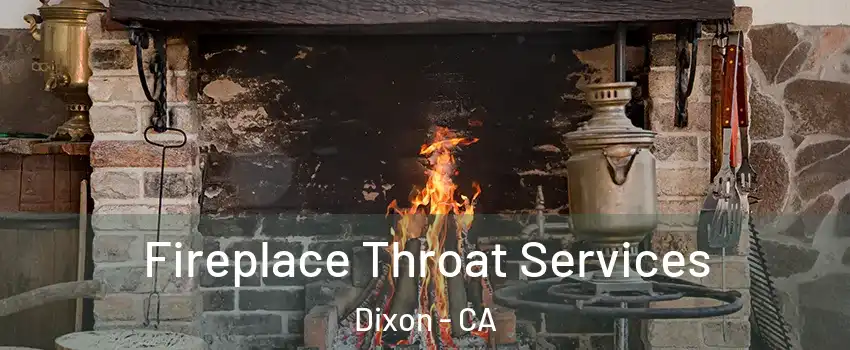  Fireplace Throat Services Dixon - CA