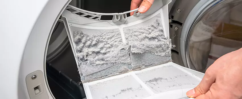 Best Dryer Lint Removal Company in Dixon, California