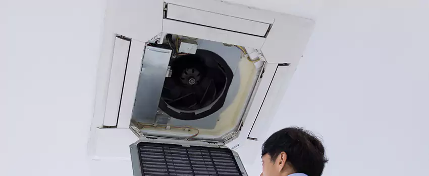 Benefits of Professional Air Duct Cleaning in Dixon, California