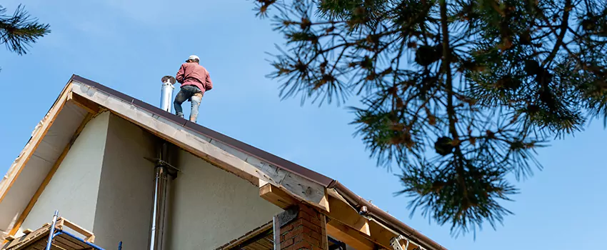 Birds Removal Contractors from Chimney in Dixon, CA