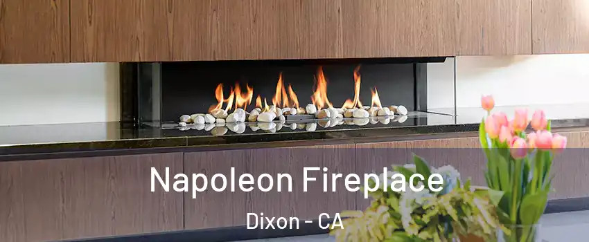  Napoleon Fireplace Dixon - CA